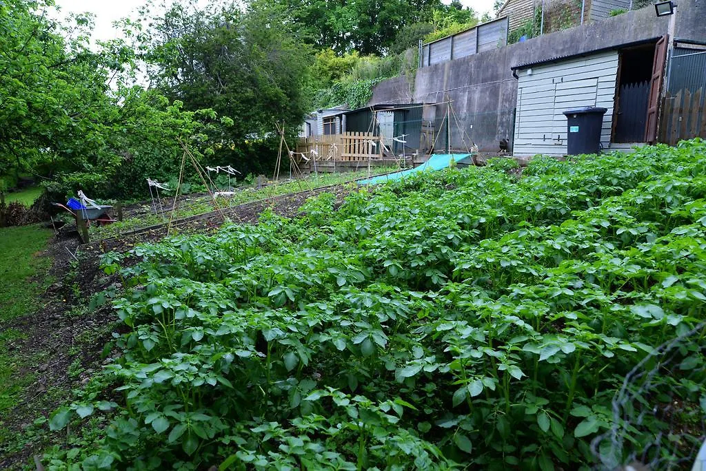 Gabriel House Guesthouse Cork